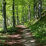 Ferienapartment Opitz - Zugspitzregion アパート